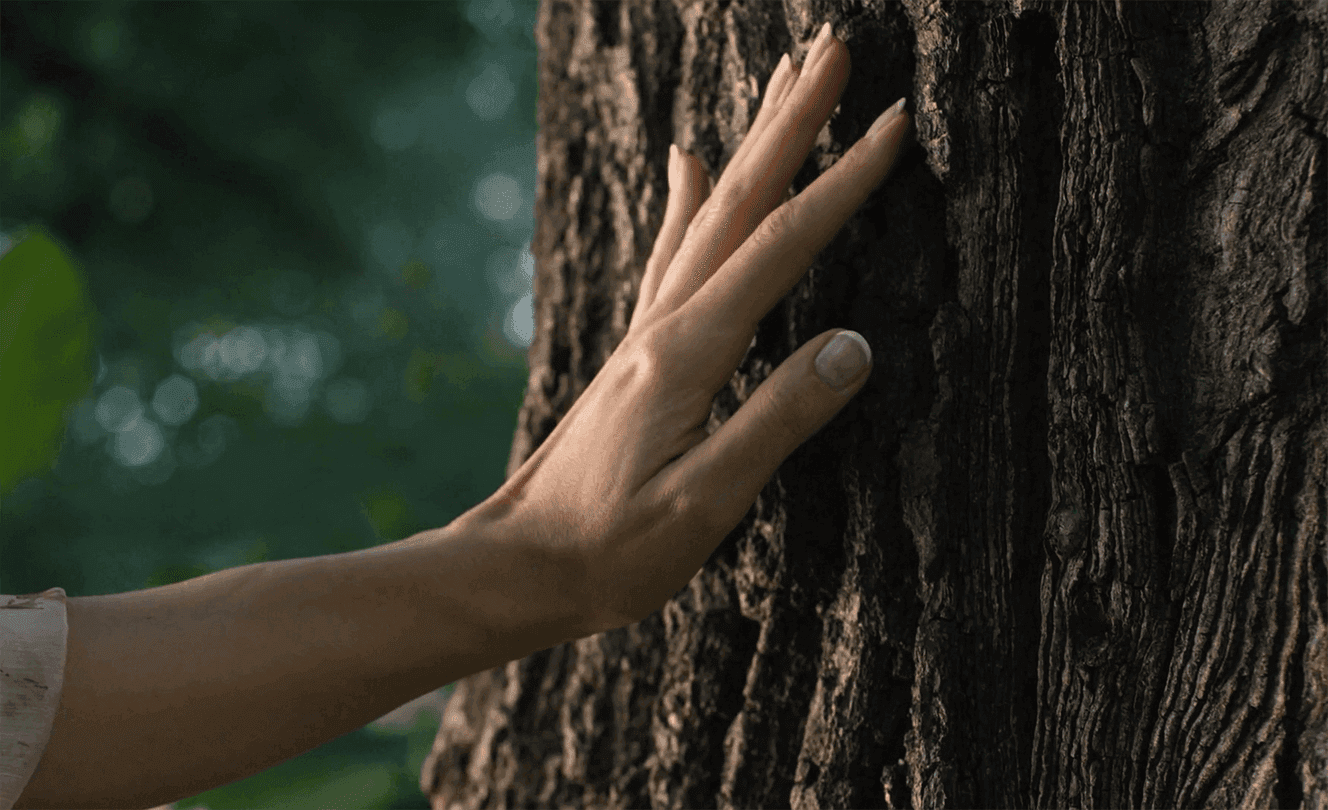 Hand on tree Love as foundation, nurturing bonds, kindness at Swastik Luxury Wellness Retreats India, Ayurveda Center Pune.