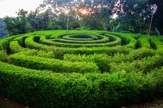 bodhi-vihar Bodhi Vihar Rake Garden at Swastik Ayu Vihar, featuring lush green labyrinth design for meditation and spiritual renewal.
