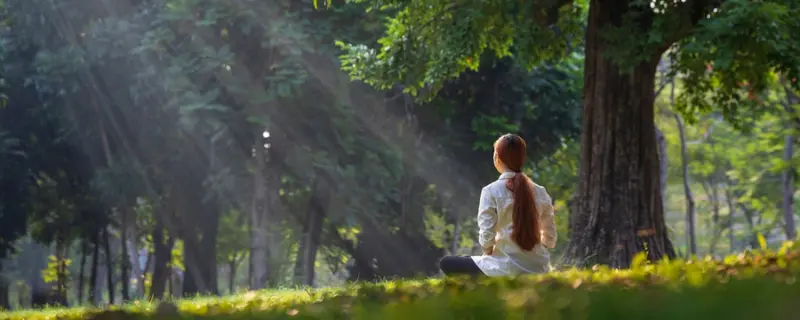 holistic-detox A person meditating in a sunlit forest, highlighting detox therapies, nourishing food, breathwork, and mindfulness at Swastik