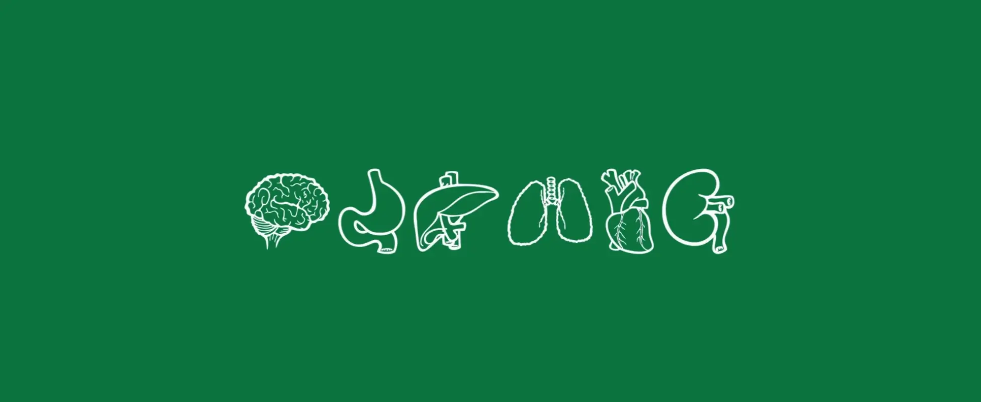 White line icons of brain, stomach, liver, lungs, heart and kidney on a green background