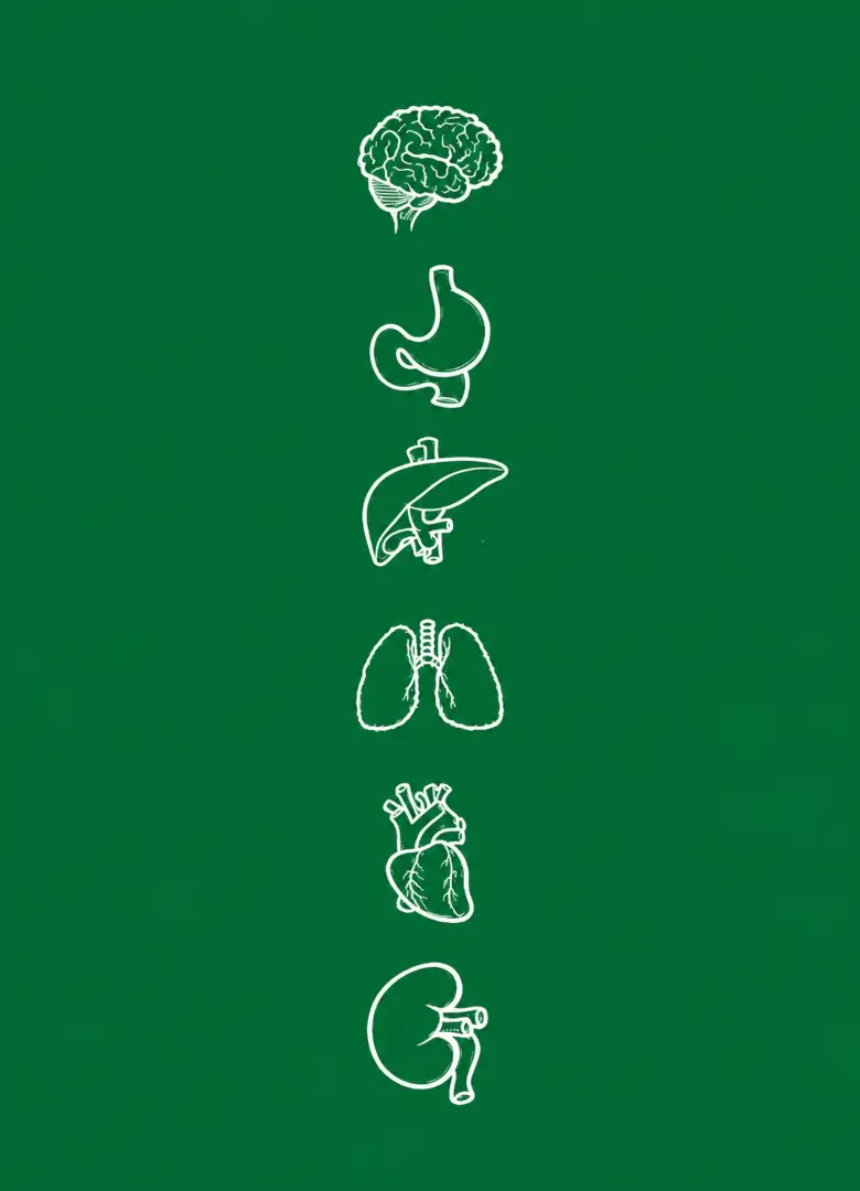 Liver Regeneration & Fibrosis Reversal_mob White line icons of brain, stomach, liver, lungs, heart and kidney on a green background