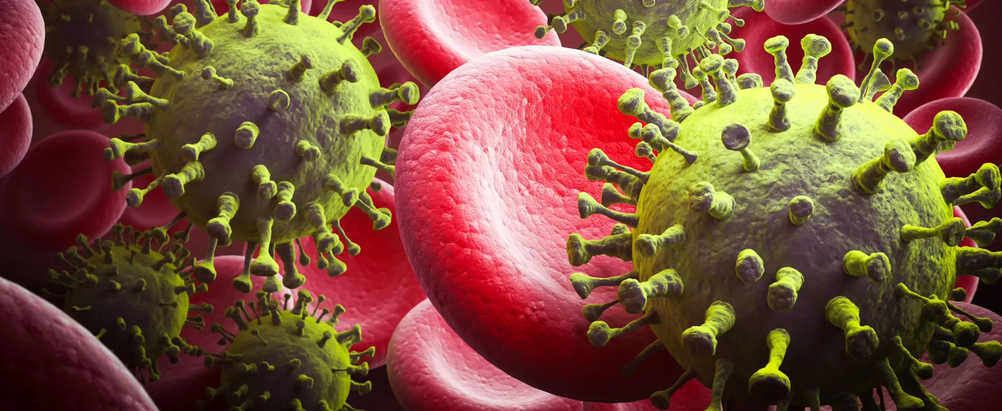 3D render of spiked spherical particles among red blood cells in the bloodstream