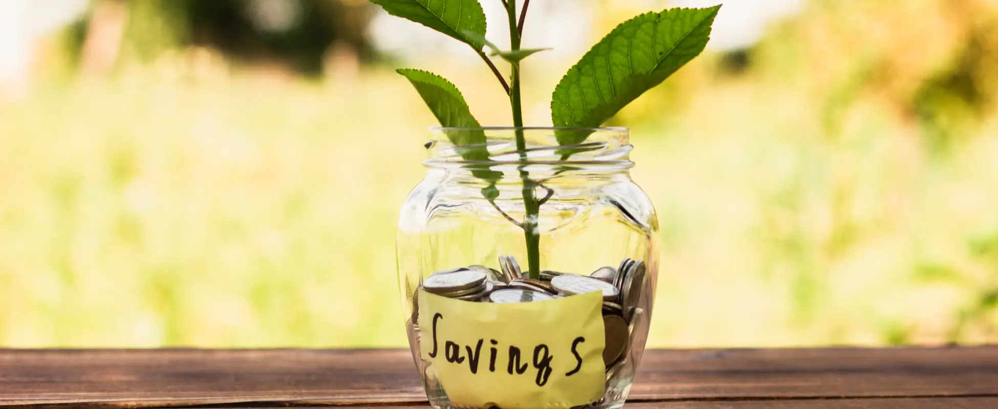 Green seedling growing from a jar of coins labelled Savings, outdoors on a wooden table