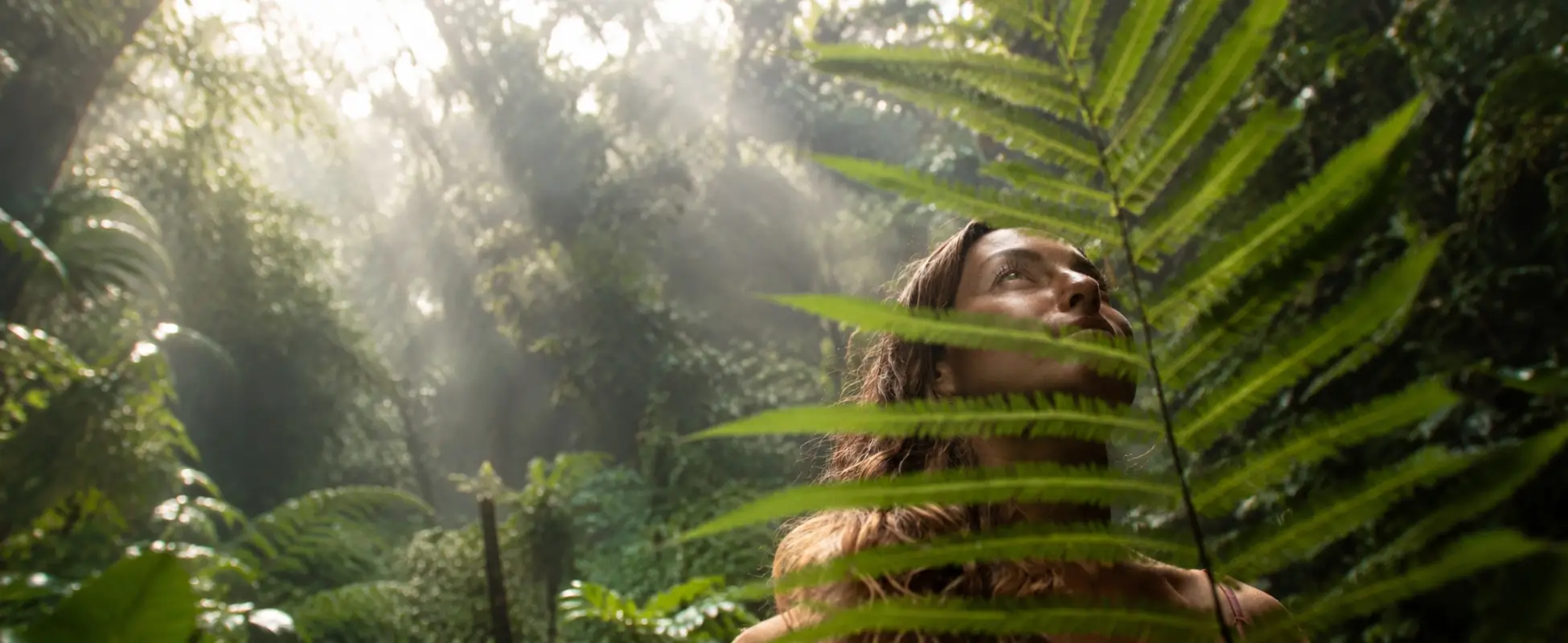 Regenerative Wellbeing: How the Body Repairs and Renews Woman gazing up through green fern fronds as sunlight streams into a misty forest, evoking regenerative wellbeing